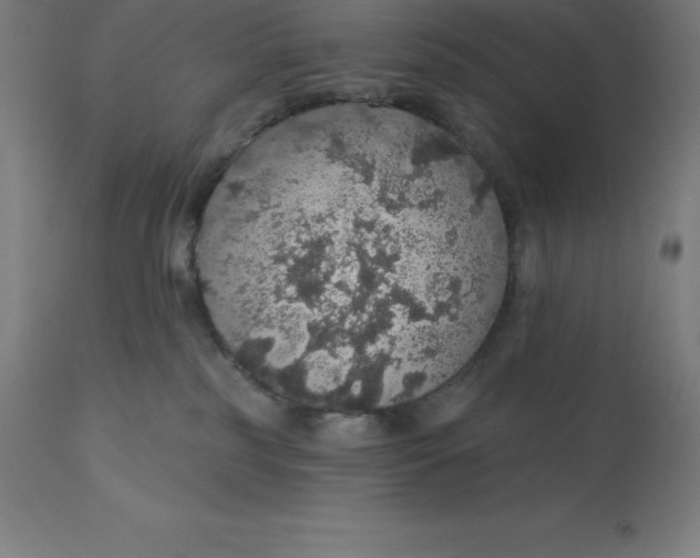 X0000110700185200907022006