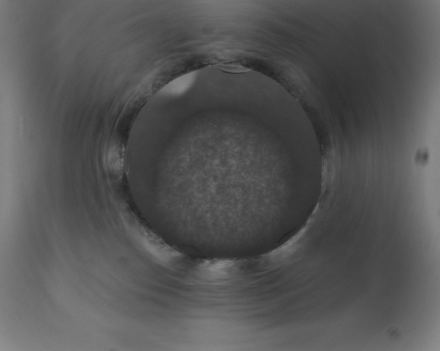 X0000110700186200907022006