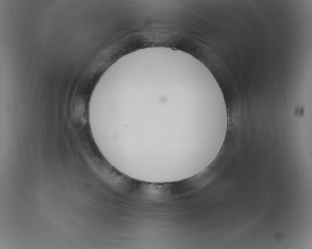 X0000110700187200907022006