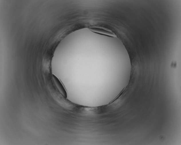 X0000110700188200907022006