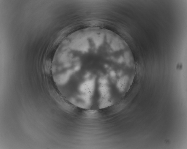 X0000110700189200907022007