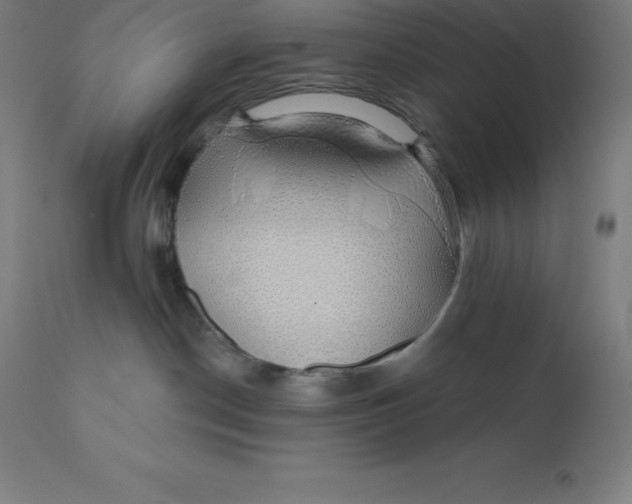 X0000110700190200907022007