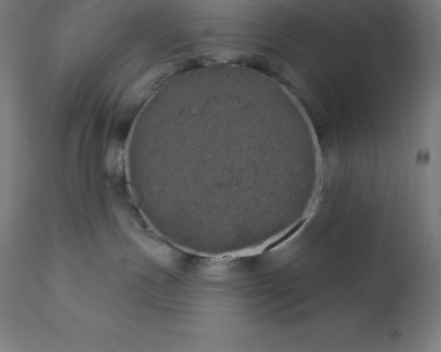 X0000110700191200907022007