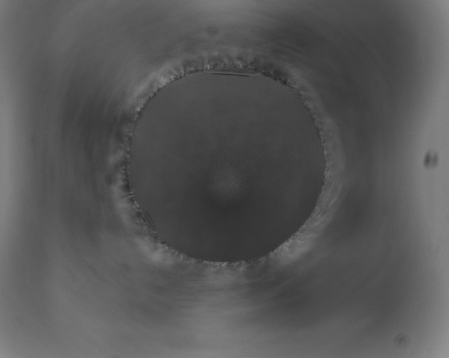 X0000110700192200907022007