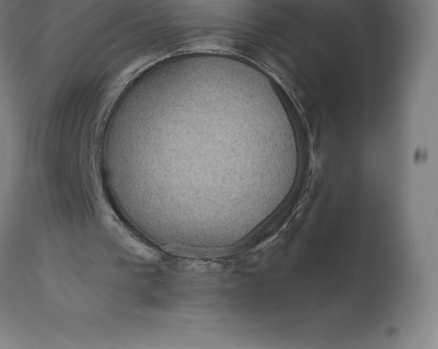 X0000110700193200907022006