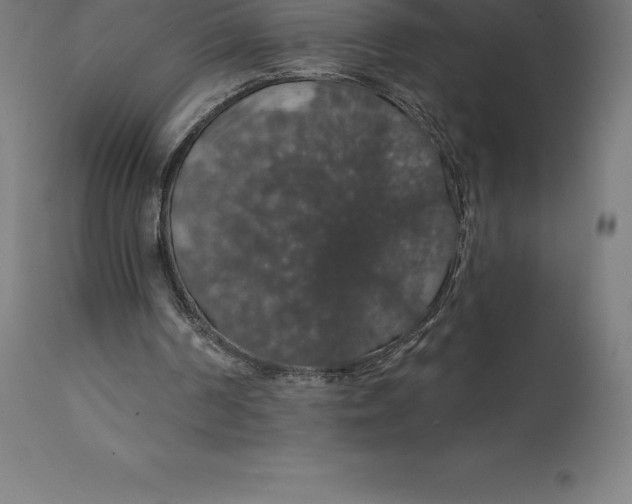 X0000110700194200907022006
