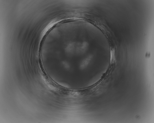 X0000110700195200907022006