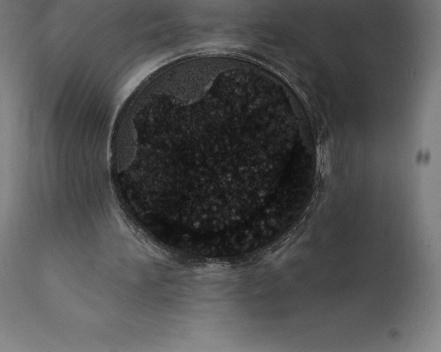 X0000110700196200907022006