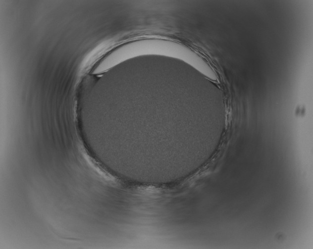 X0000110700197200907022006