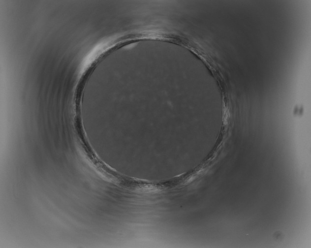 X0000110700198200907022006