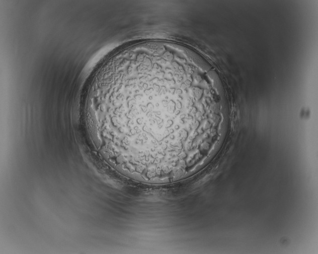 X0000110700200200907022006