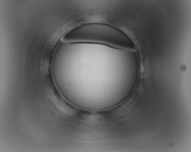 X0000110700201200907022006
