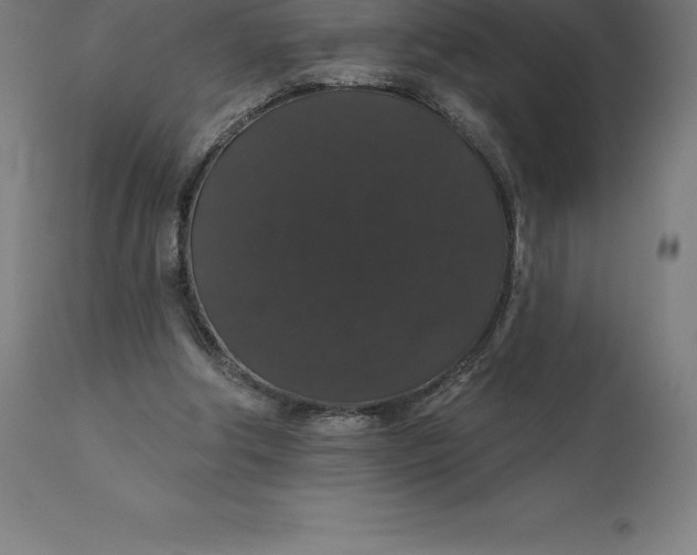 X0000110700202200907022006