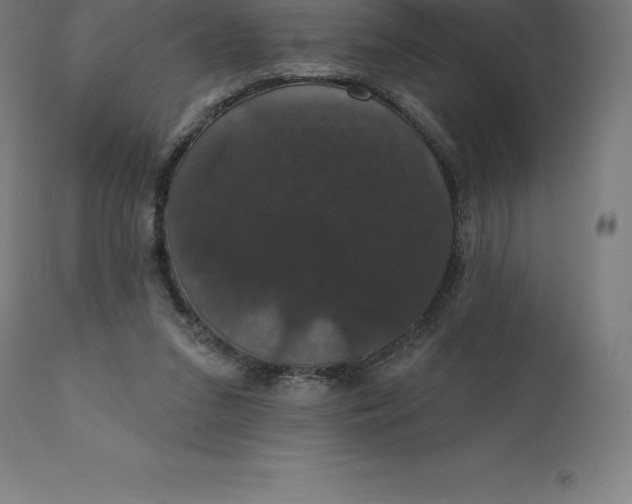 X0000110700207200907022006