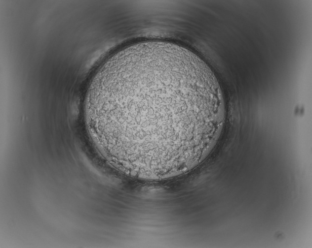 X0000110700208200907022006