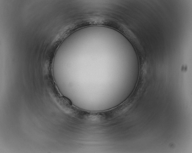 X0000110700209200907022006