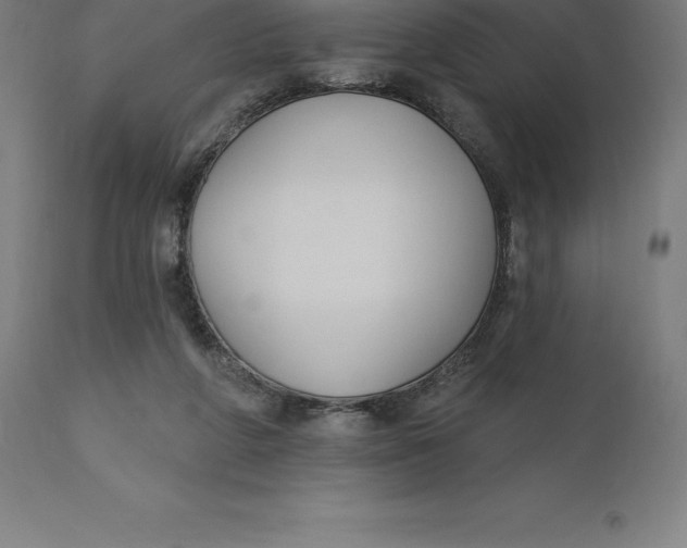X0000110700210200907022006