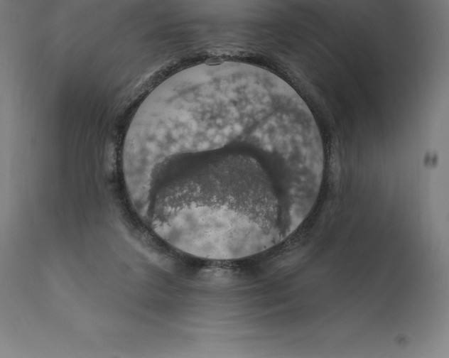 X0000110700211200907022006