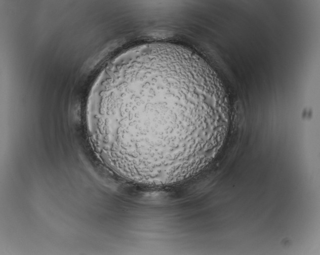 X0000110700212200907022006