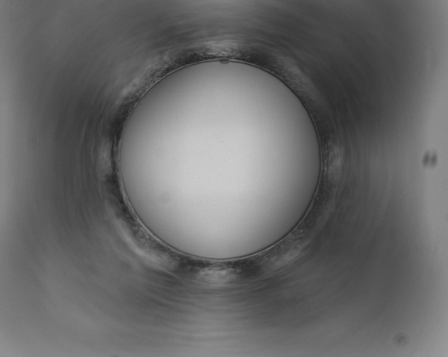 X0000110700213200907022005