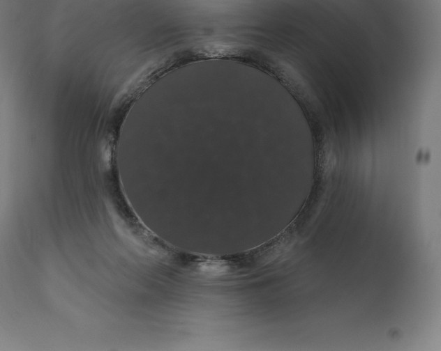X0000110700214200907022005