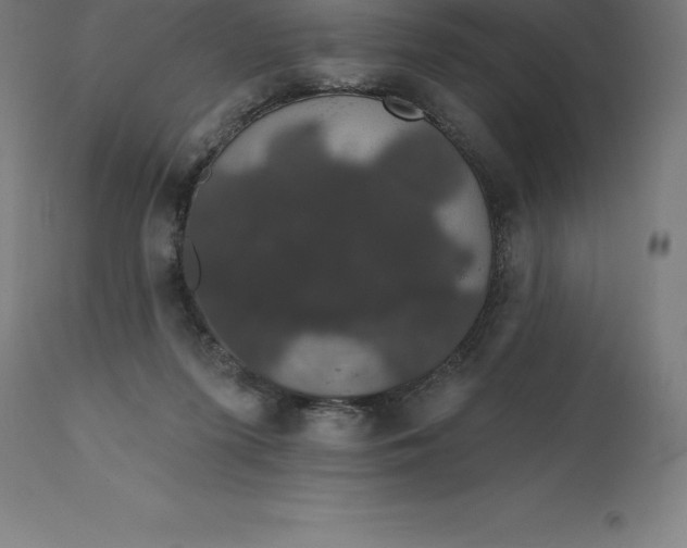 X0000110700215200907022005