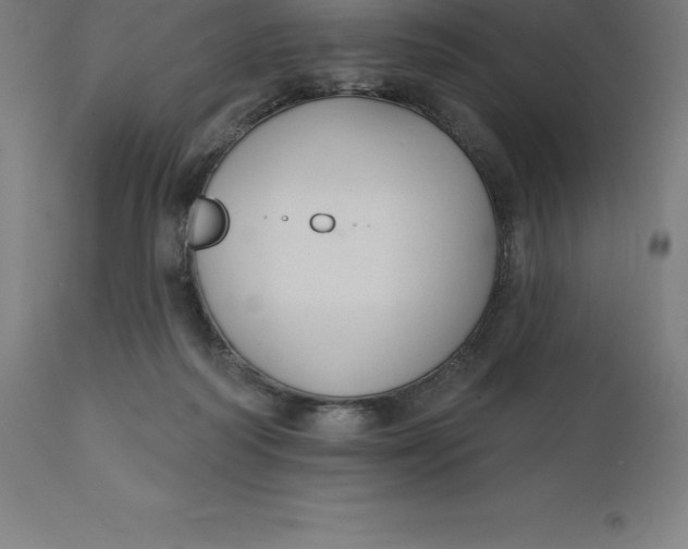 X0000110700218200907022005