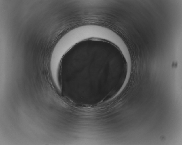 X0000110700219200907022005