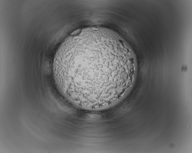 X0000110700220200907022005