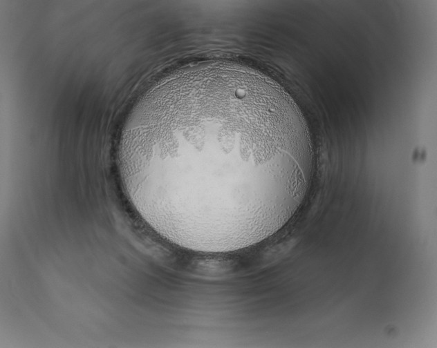 X0000110700221200907022005