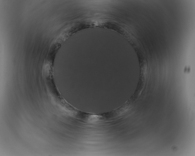 X0000110700222200907022005