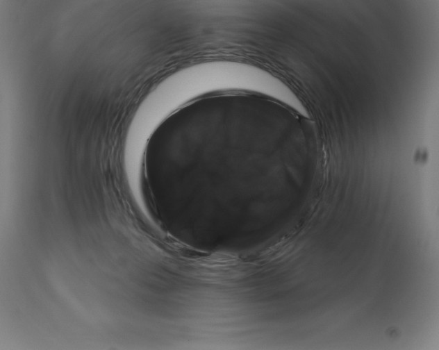 X0000110700223200907022005