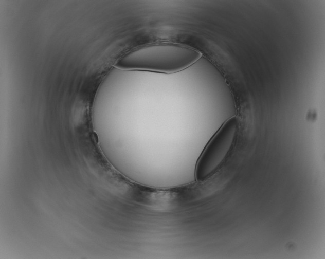 X0000110700225200907022005