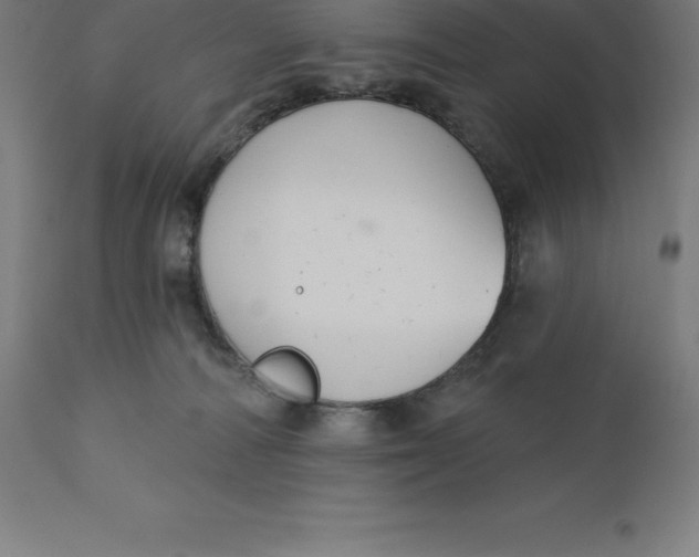 X0000110700226200907022005