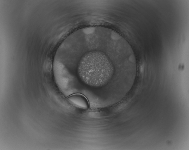 X0000110700228200907022005