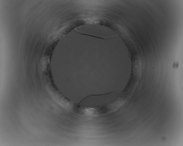 X0000110700229200907022005