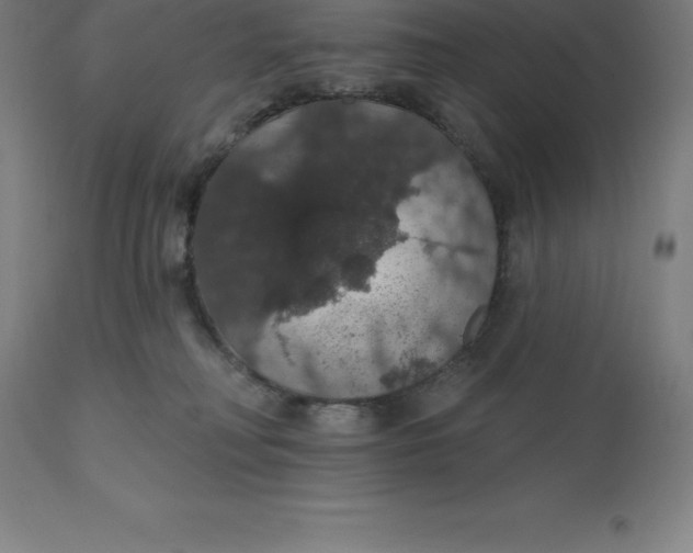 X0000110700230200907022005