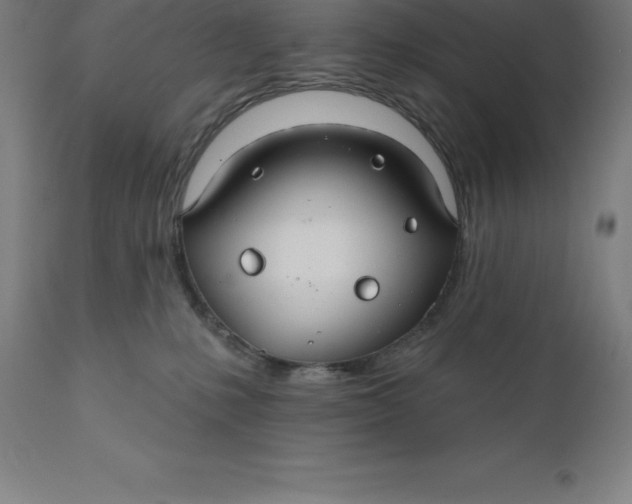 X0000110700231200907022005