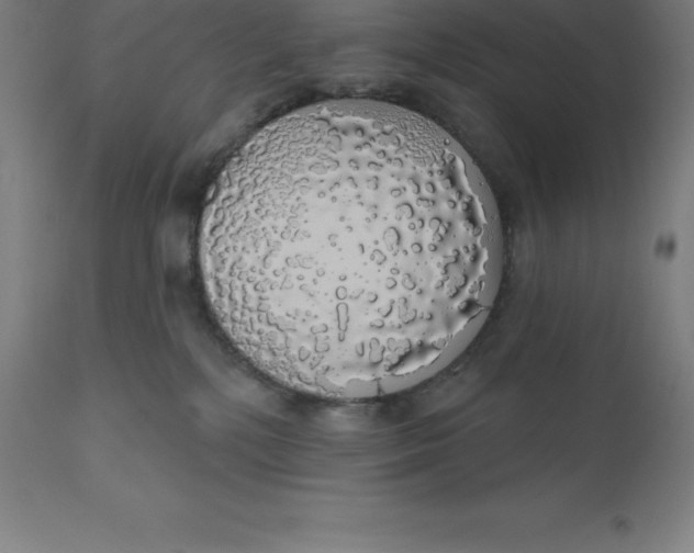 X0000110700232200907022005