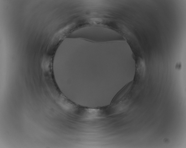 X0000110700233200907022005