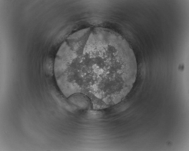 X0000110700234200907022005