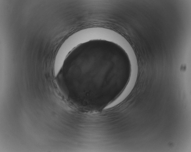 X0000110700235200907022005