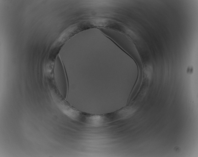 X0000110700237200907022005