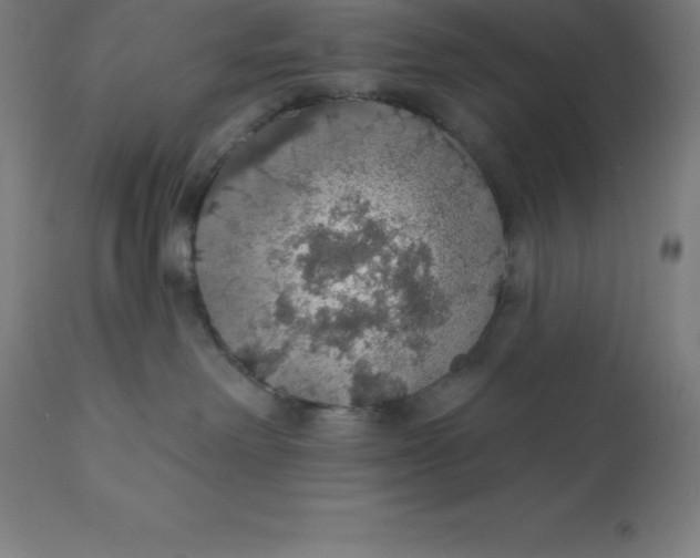 X0000110700238200907022005