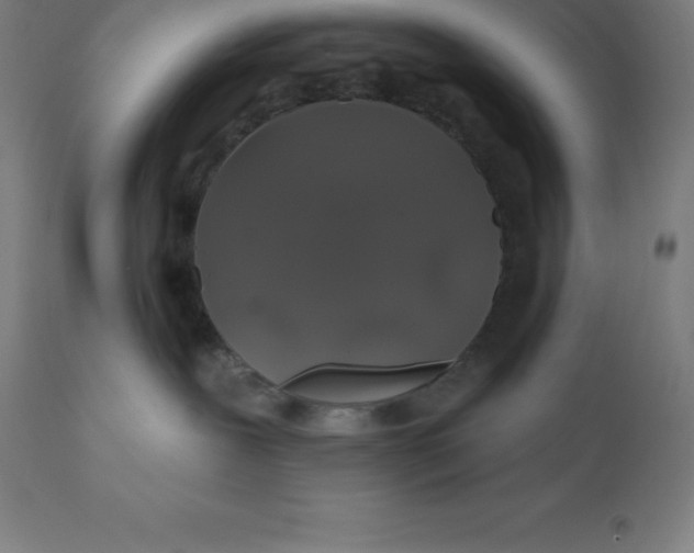 X0000110700239200907022005