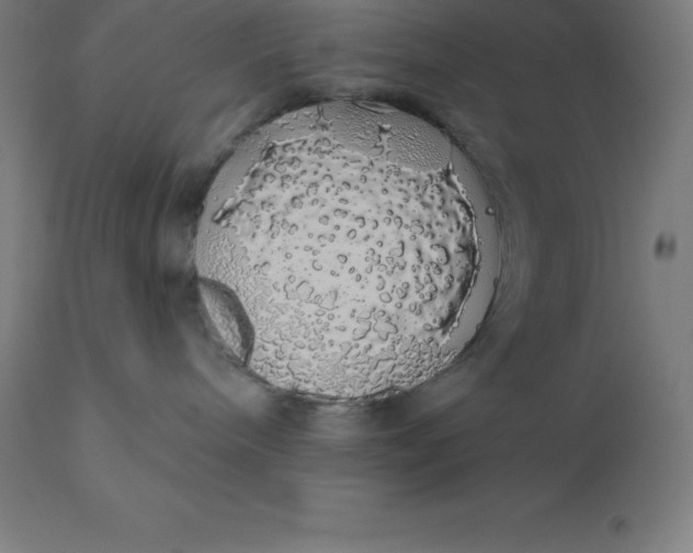 X0000110700240200907022005