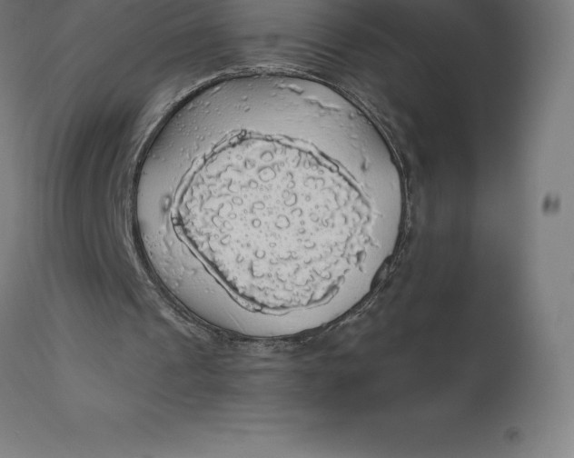 X0000110700241200907022004