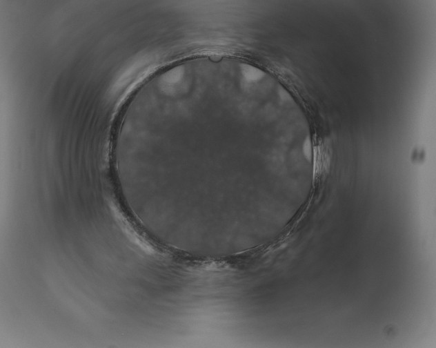 X0000110700243200907022004