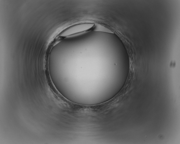X0000110700244200907022004