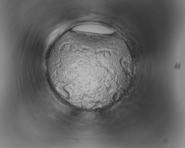 X0000110700245200907022004